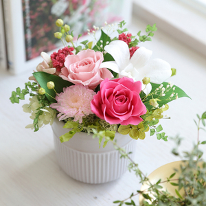 【母の日用】プリザーブドフラワー プリフラギフトボックスM（ピンク）