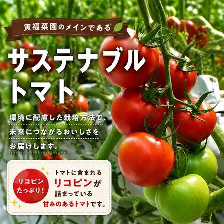 むつ市産　寅福菜園の「サステナブルトマト」4㎏