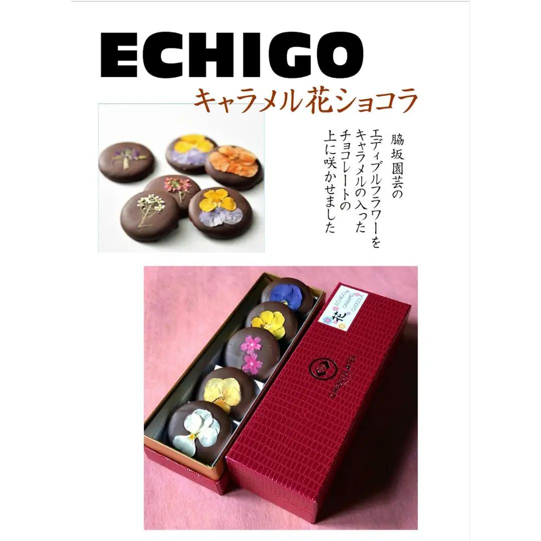 しょこら亭 ECHIGOキャラメル花ショコラ＆鯛チョコセット お菓子 菓子 スイーツ 贈答 1Z64015