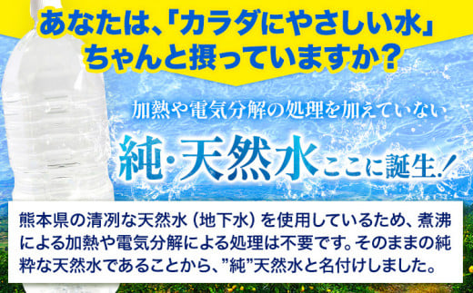 熊本イオン純天然水 ラベルレス 2L×10本 《3-7営業日以内に出荷予定(土日祝除く)》2l 水 飲料水 国産 天然水 くまモン ---fn_gfrst10_23_4500_10i_ni_u---