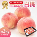 【ふるさと納税】《先行受付》品種おまかせ 白桃 約3kg(8〜10玉)【2025年8月上旬頃〜発送予定】【山形もも・大江町産】