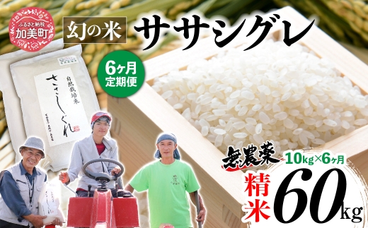 【新米予約】《 希少品種米 》 米 令和8年 宮城県産 ササシグレ ( 栽培期間中農薬・肥料不使用 ) 【 6回 定期便 】 精米 白米 10kg × 6ヶ月 （ 合計 60kg ）｜ 宮城県 加美町 無農薬 お米 こめ コメ ささしぐれ ササニシキ の 父 ｜ nt-ss10-t6-r8