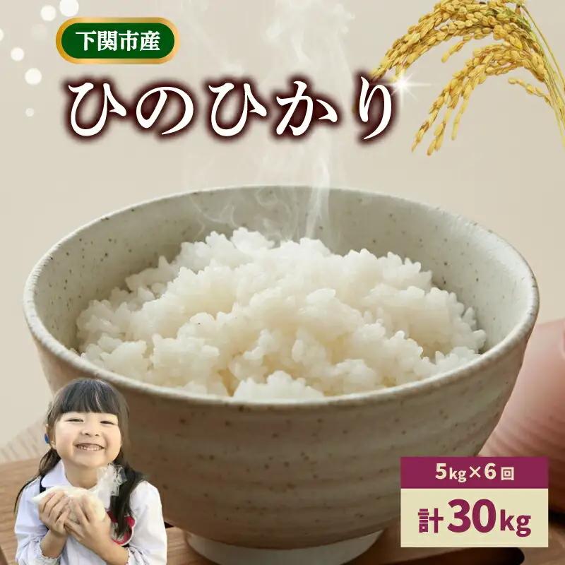 【定期便 6ヶ月】令和7年産 米 ひのひかり 5kg 下関 山口 LO001-B