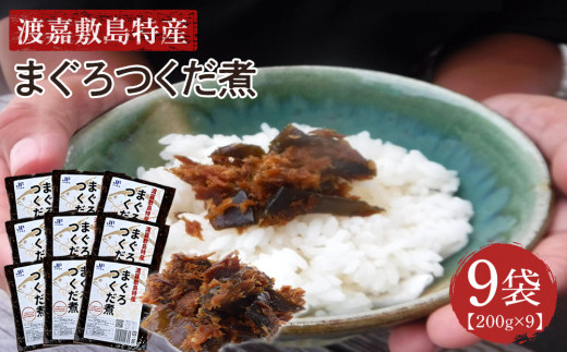 
                  【ふるさと納税】まぐろつくだ煮（200g×9袋）渡嘉敷漁業協同組合 沖縄県 ケラマ諸島 まぐろ 鮪 つくだ煮
                
