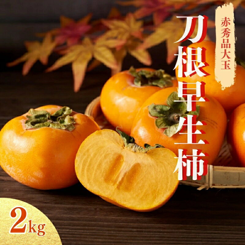 【ふるさと納税】 刀根早生 柿 種無し 6個入り(約2kg) ※離島への配送不可 ※9月下旬～10月下旬頃に順次発送予定 / かき フルーツ 果物 くだもの 刀根 和歌山 //hokaf