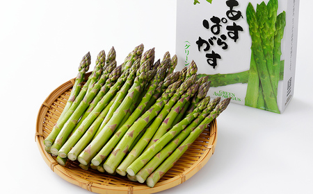 2026年産 先行予約 北海道産 グリーンアスパラガス 正品 計1kg 北海道 JA上士幌町 野菜 アスパラ 産地直送 冷蔵便 ◆2026年5月中旬発送開始予定