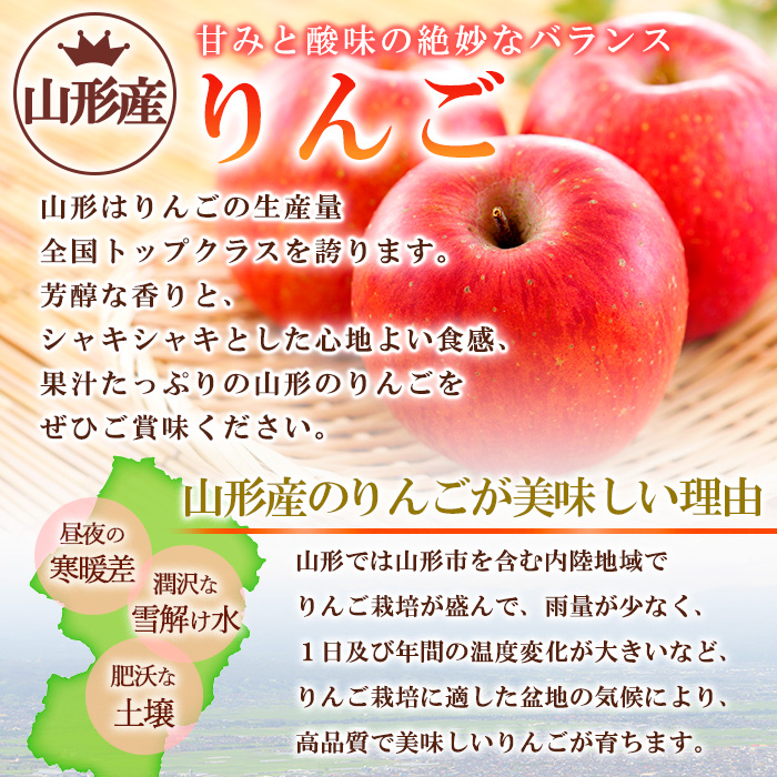 【家庭用】山形のりんご サンふじ 約10kg(24～50個) FY24-212