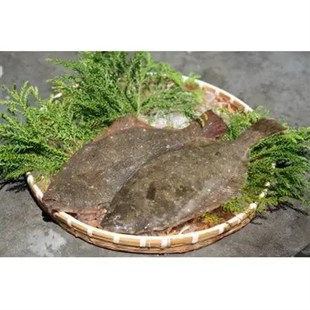 近海お刺身詰め合わせ(サーモン・ひらめ・真鯛・平目昆布〆) 各60g×2パック【配送不可地域：離島】【1692128】