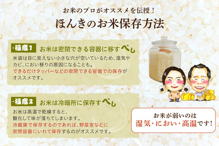 【令和7年産】【新米先行予約】【定期便】浜田市産きぬむすめ30kg（5kg×6回コース）＜2025年10月14日より順次発送＞お米 一等米 お取り寄せ 特産 精米 白米 ごはん ご飯 コメ 30kg 
