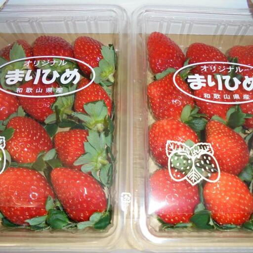 いちご【1月発送】和歌山県産ブランドいちご「まりひめ」約300g×4パック入り【北海道・沖縄県・離島配送不可】【印南町産】