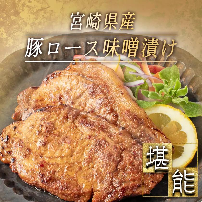 宮崎牛ハンバーグ・豚ロース味噌漬けBセット〔MJ-2513〕_(都城市) 宮崎県産 牛肉 豚肉 宮崎牛ハンバーグ 130g 10個 宮崎県産豚ロース味噌漬け 100g 6枚 真空パック ハンバーグ ギ