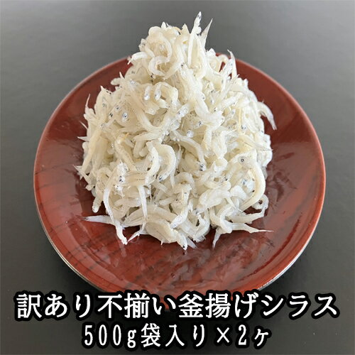 【ふるさと納税】訳あり不揃い釜揚げシラス500g袋入×2ヶ　シラス　しらす　訳あり釜揚げシラス　海産物　大きさ不揃い　大容量　たっぷり　冷凍しらす　冷凍配送