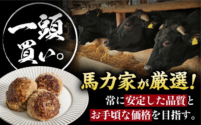ハンバーグ 冷凍  温めるだけ 小分け 簡単調理 離乳食 湯煎肉 牛肉 ハンバーグ おすすめ 飛騨牛 冷凍 ハンバーグ 湯煎 