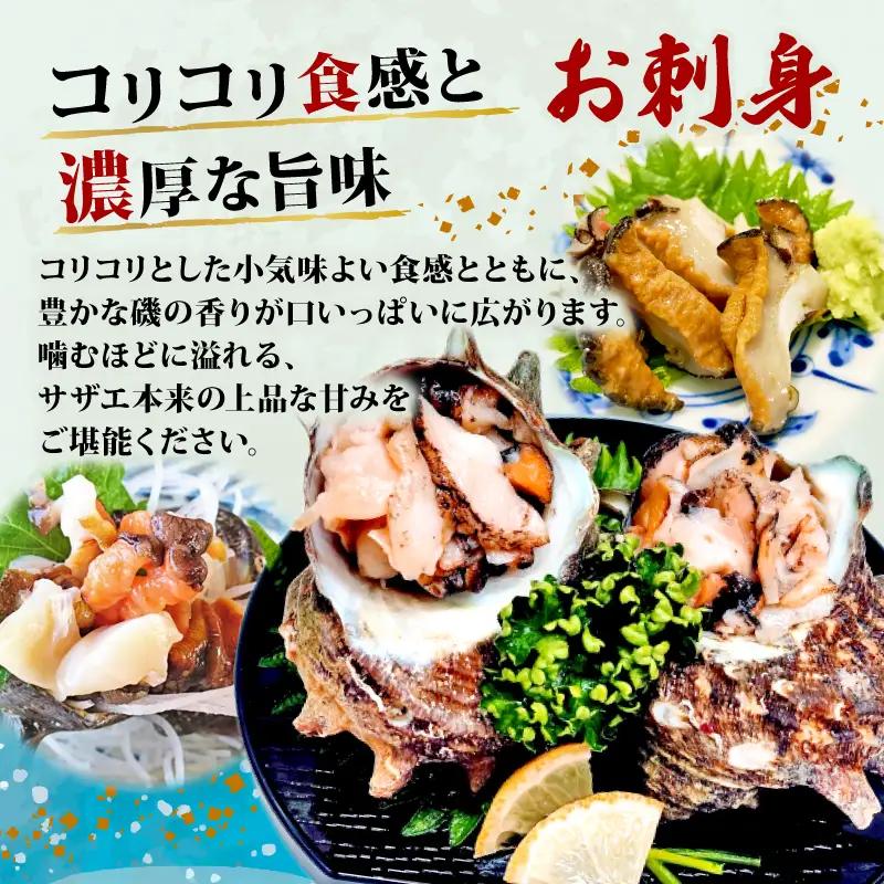 サザエ 三重県志摩産 新鮮 1kg（7～15個） さざえ