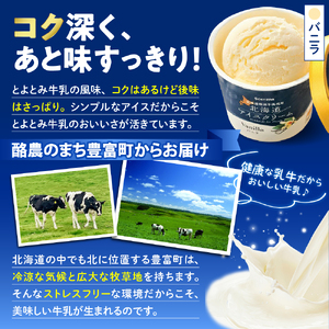 とよとみ牛乳 北海道アイスクリーム バニラ 110ml×12個　（とよとみ牛乳 アイス あいす アイスクリーム カップアイス 詰め合わせ デザート カップデザート クリスマス 贈り物 ギフト 北海道 