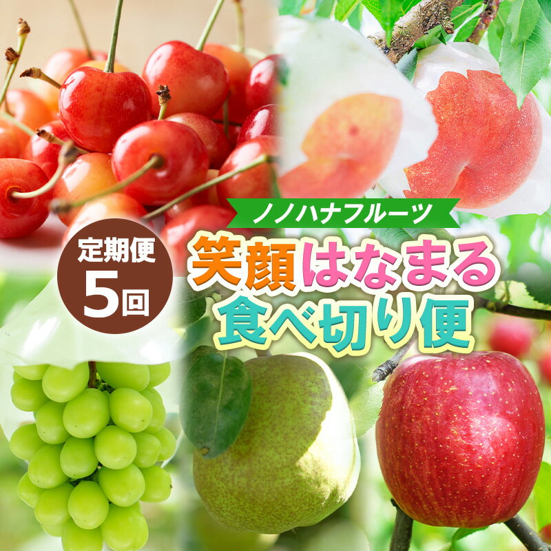 【ふるさと納税】【定期便5回】ノノハナフルーツ 笑顔はなまる食べ切り便 FY25-328