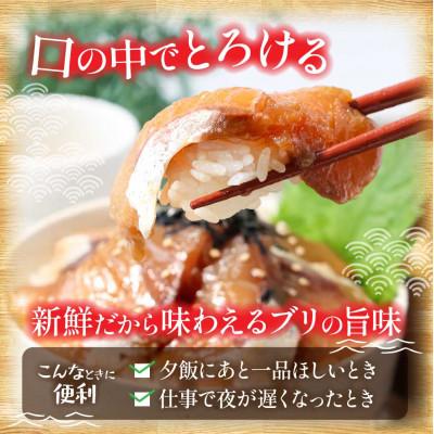 ふるさと納税 芸西村 高知の海鮮丼の素「ブリの漬け」1食80g×10Pセット　【コロナ応援企画】【KYF121】 |  | 02