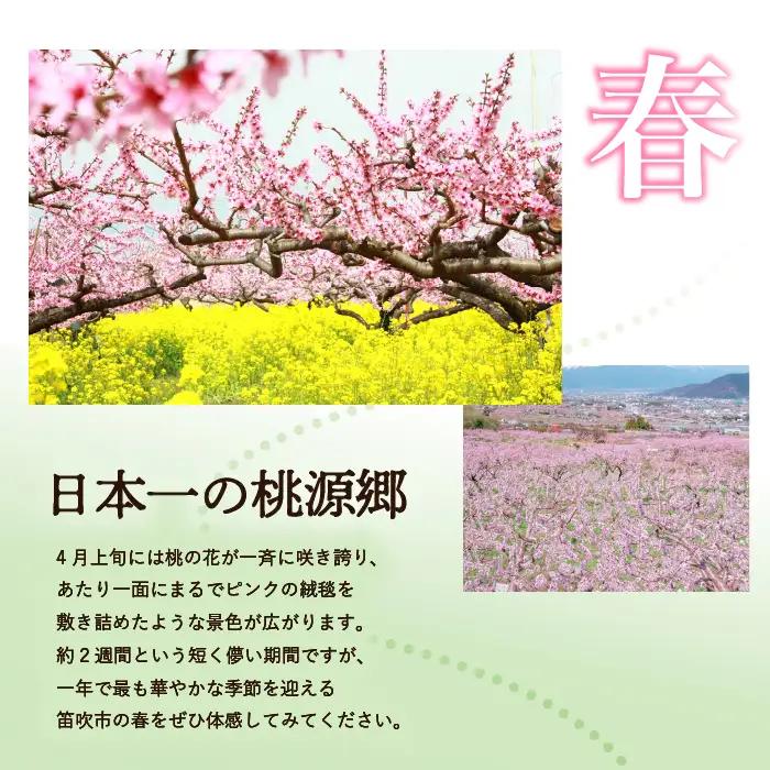 ふるさと納税　石和温泉利用券＜利用券45,000円分＞ 038-003 山梨県 笛吹市 いさわ ホテル 旅館 宿泊券 観光 旅行 果物狩り フルーツ ワイン ワイナリー 登山 ぶどう 桃 ブドウ 葡萄