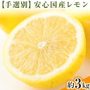 【ふるさと納税】【手選別・産直】紀の川市産の安心国産レモン 約3kg 柑橘《12月・1月出荷》 紀の川市厳選館 和歌山県 紀の川市 フルーツ 果物