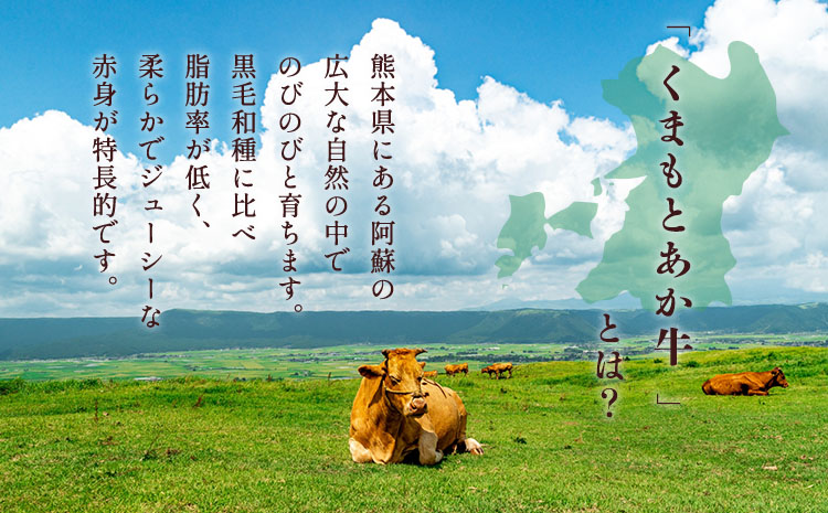 【2023年1月より順次発送】くまもとあか牛 切り落し すき焼 ・ しゃぶしゃぶ用 約1kg(約500g×2パック)