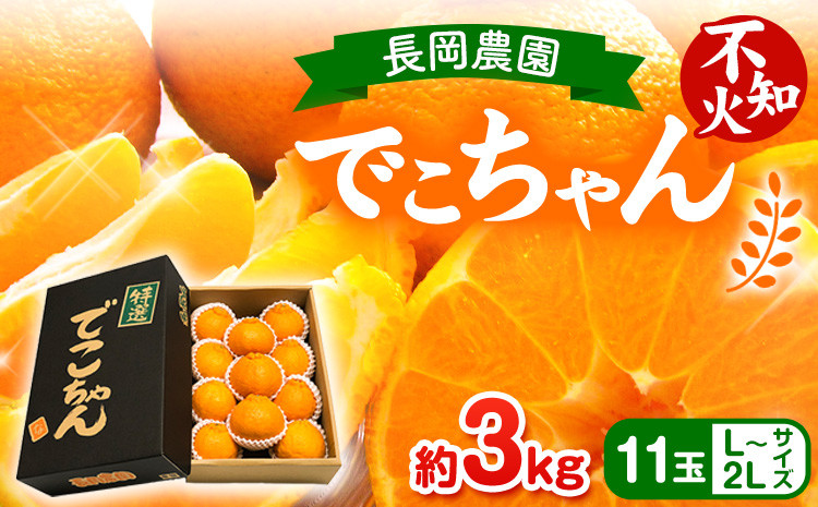 
【先行受付】でこちゃん( デコポン )と同品種 不知火 11玉 長岡農園《2025年2月中旬-4月上旬頃出荷》 和歌山県 日高川町 不知火 旬 柑橘 フルーツ 果物
