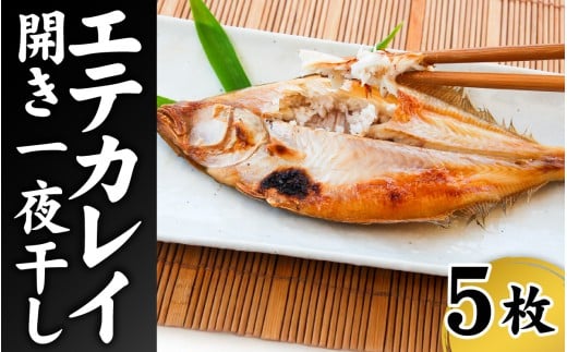 山陰名産 エテカレイ 一夜干し 食べやすいサイズ 5枚 / カレイ 干物