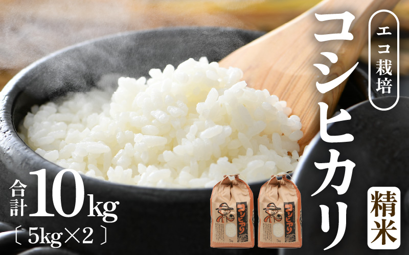 【先行予約】【令和8年産 新米】エコ栽培コシヒカリ 白米10kg（5kg×2） ／ 鮮度抜群 福井県産 こしひかり ご飯 新鮮 白米 ※2026年10月上旬以降順次発送 [aw063-b008]