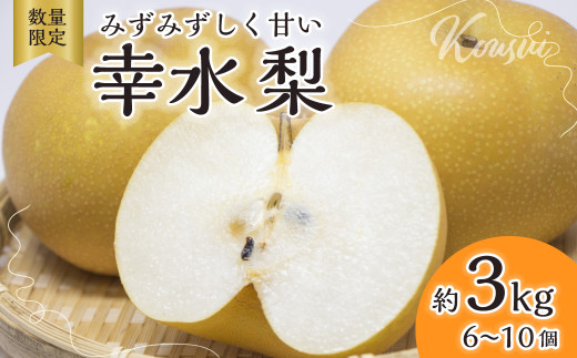 梨【2025年先行予約 数量限定】幸水 約3kg 6玉～10玉 | 先行予約 数量限定 梨 フルーツ 高級 産地直送 限定品 贈り物 新鮮 お取り寄せ デザート ギフト 風味豊か 香り 上品 希少価値 珍しい 地域 甘い 限定 果物 果樹 幸水 梨 なし 果物 フルーツ 和梨 旬 日本の梨 ジューシー みずみずしい 高糖度 季節のフルーツ 埼玉県 久喜市