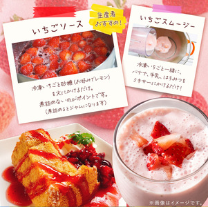 完熟・急速冷凍いちご 4kg | 苺 いちご イチゴ 果物 フルーツ ふるーつ 冷凍 いちご れいとう イチゴ 果実 果汁 冷凍 冷凍食品 冷凍いちご 朝採り 完熟 新鮮 スムージー オススメ 千葉県