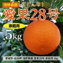 【ふるさと納税】【先行予約】【数量限定】浅野農園の愛果28号（まどんな）家庭用5kg｜柑橘 みかん ミカン フルーツ 果物 愛媛 有名 代表 高級 ※2024年12月中旬～2025年1月中旬頃に順次発送予定 ※離島への配送不可