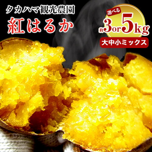 【ふるさと納税】選べる 熊本県 大津町産 タカハマ観光農園 の 紅はるか 約 3 or 5kg 大中小ミックス《2026年1月上旬-6月末頃出荷》 さつまいも さつま芋 芋 スイートポテト 干し芋にも