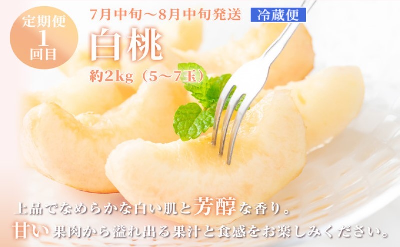 フルーツ 定期便 【2025年 先行予約】 晴れの国 おかやま の 白桃 2kg(5玉～7玉) シャインマスカット 2房 合計1.4kg以上 岡山県産 国産 セット ギフト