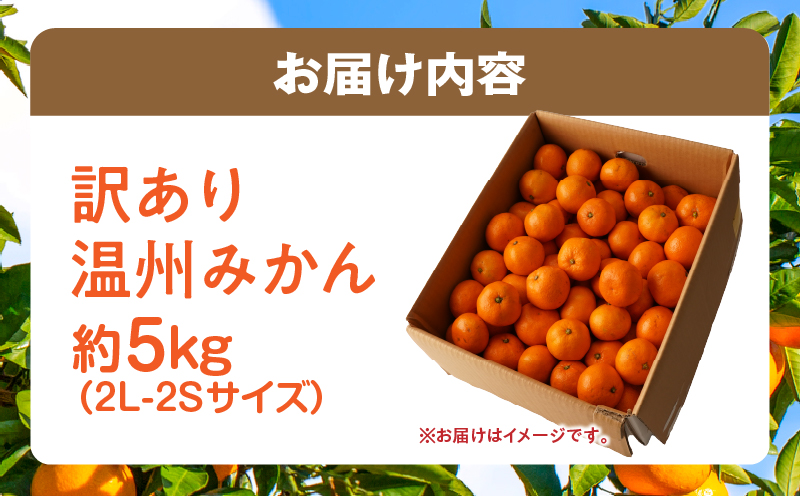 【先行受付】訳あり温州みかん約5kg（2L-2S） | みかん 温州みかん 果物 果実 訳あり 訳ありみかん 訳あり果物 訳ありフルーツ フルーツ 香川県 三木町 |_mk006-031