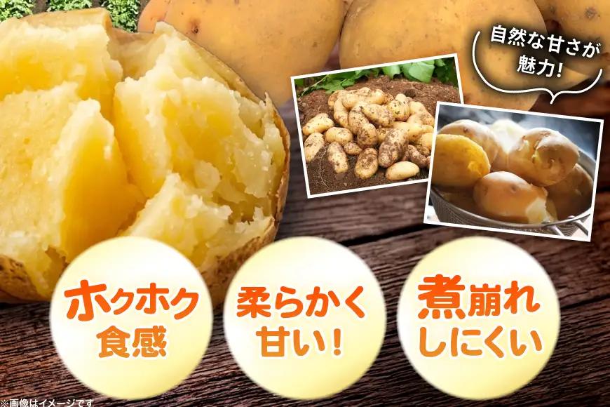 じゃがいも きたあかり 5kg