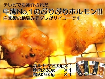 【008-14】自家製 みそダレ Bセット 牛ホルモン 200ｇ 豚肉 鶏肉 各１ / 黒毛和牛ホルモン 牛清 バーベキュー BBQ キャンプ 牛肉 ぶた肉 とり肉 特製 味噌漬 味付 伊勢志摩 三重県 志摩市 鵜方