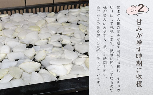 京都・夜久野高原の黒ボクで育った切干し大根140g×2袋【勝信吾のこだわり野菜】 FCDP001