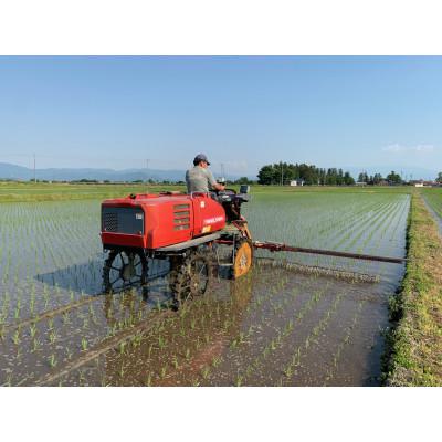 ふるさと納税 南陽市 山形つや姫玄米パックご飯　150g×24P　〜栽培期間中　農薬・化学肥料不使用〜【S1776】