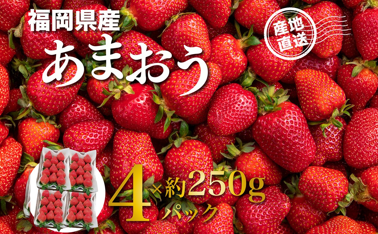 
                  福岡県産あまおう 約250g×4パック【2027年3月発送予定】 いちご イチゴ 苺 あまおう フルーツ 果物 くだもの 250g 2パック 福岡県 八女市
                