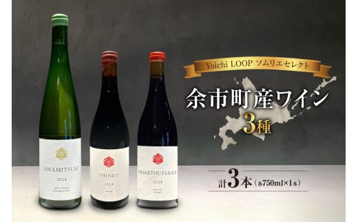 Yoichi LOOP ソムリエセレクト 余市町産ワイン【3種】AMAMITSUKI 2024・SHINKU 2024・PASSETOUTGRAIN 2024 3本セット