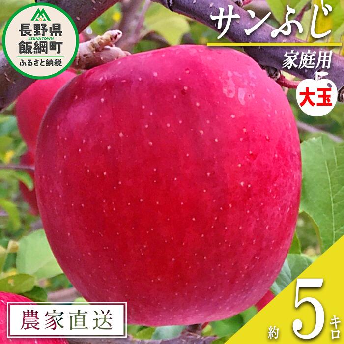 【ふるさと納税】 りんご サンふじ ( 大玉 ) 家庭用 5kg 中村ファーム 沖縄県への配送不可 令和7年度収穫分 長野県 飯綱町 〔 信州 果物 フルーツ リンゴ 林檎 長野 15000円 予約 農家直送 〕発送時期：2025年11月下旬〜2026年1月下旬