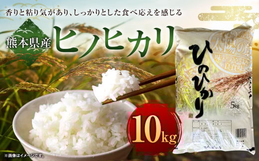 【令和7年産】ヒノヒカリ 10kg 精米 米 お米 【2026年9月下旬迄発送予定】