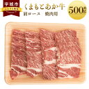 【ふるさと納税】くまもとあか牛 肩ロース 焼肉用 約500g×1パック あか牛 牛肉 和牛 赤身肉 肉 肩ロース ロース 国産 九州産 熊本県産 焼肉 食品 冷凍 送料無料