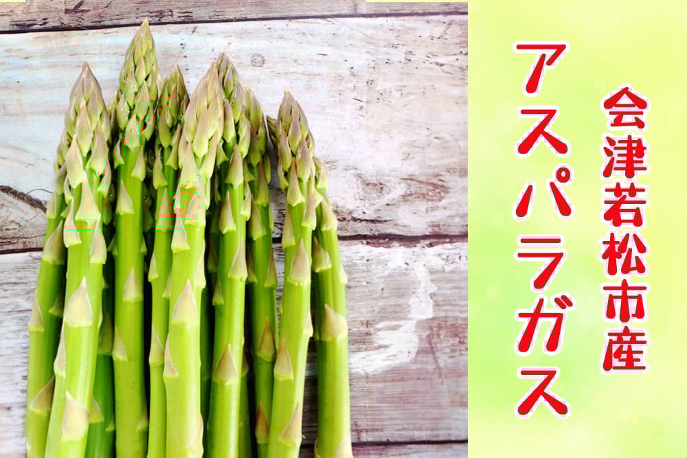 
            会津若松市産 アスパラガス 1kg｜会津産 野菜 アスパラ あすぱら サラダ 2025年産 令和7年 農家 産直 [0656]
          