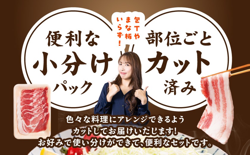 宮崎県産豚わくわく4.1kgセット(真空)_AC-8403-s