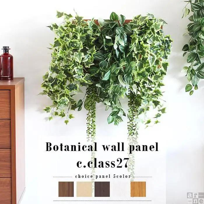Botanical c.class 27　ダークブラウン