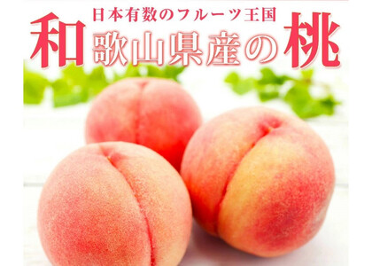 紀州和歌山産の　桃 15玉 化粧箱入 【2026年6月下旬より順次発送】【UT97】【uot780A】