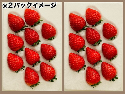 とちあいか 約1000g（約250g×4パック）｜ いちご イチゴ 苺 果物 フルーツ 栃木県 宇都宮市 ※離島への配送不可 ※2026年1月中旬～4月下旬頃に順次発送予定