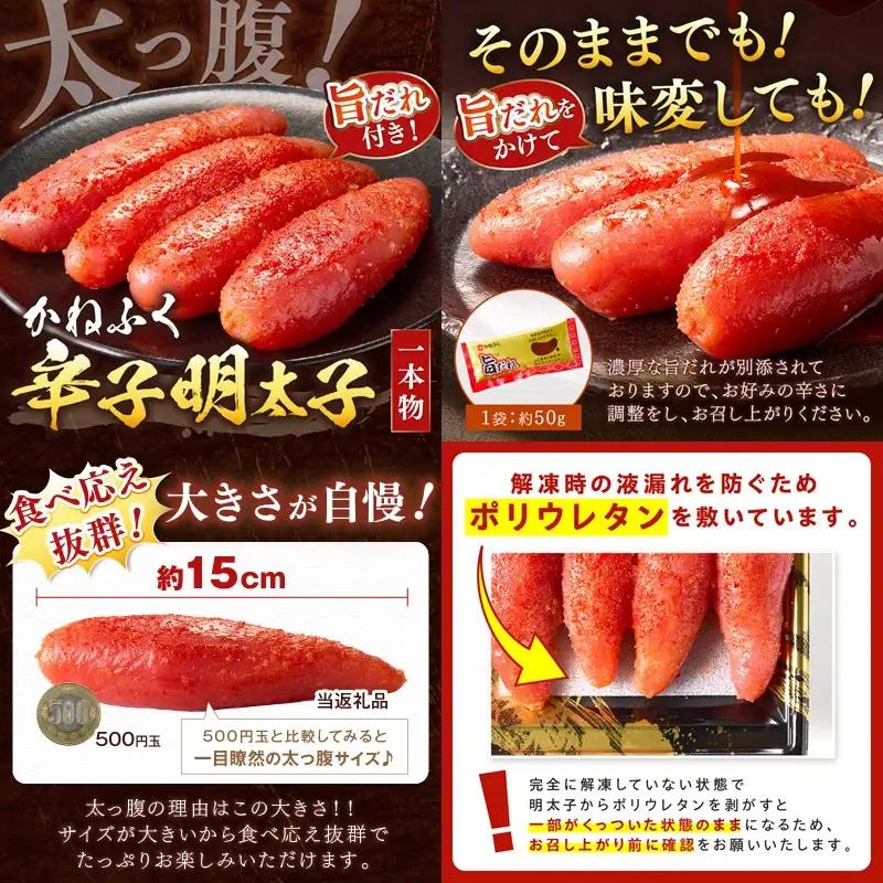かねふく辛子明太子&デミソースのハンバーグ2種セット【毎月定期便(計12回発送)】【K03-001】