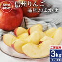 【ふるさと納税】ご家庭用 信州りんご3kg_ 訳あり わけあり ワケアリ りんご 林檎 リンゴ フルーツ 果物 ふるーつ くだもの 国産 旬 家庭用 規格外 傷 不揃い 産地直送 信州 長野 人気 品種 送料無料 産直 食べ比べ 【1246323】