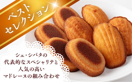焼き菓子 詰め合わせ 8個入 多治見市 / シェ・シバタ スイーツ ギフト マドレーヌ[TDH008]